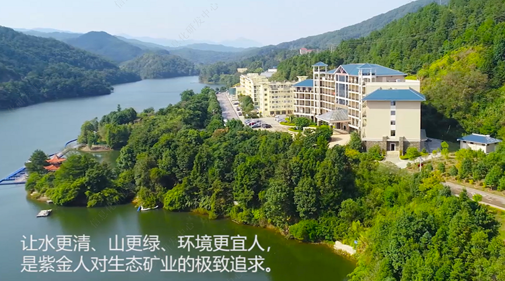 惊蛰时节植树忙