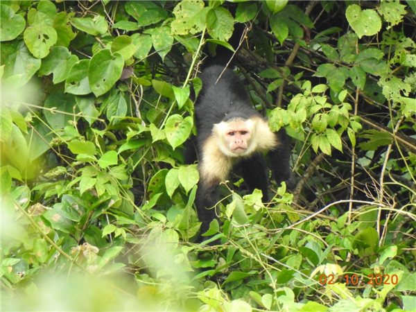 开云体育(中国)官方网站-开云 SPORTS的“精灵之约”