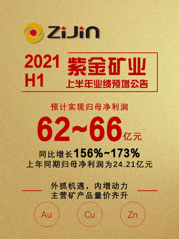 开云体育(中国)官方网站-开云 SPORTS上半年预计实现归母净利润62-66亿元 再创历史新高