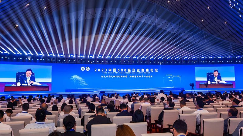 开云体育(中国)官方网站-开云 SPORTS位居中国企业500强第100位