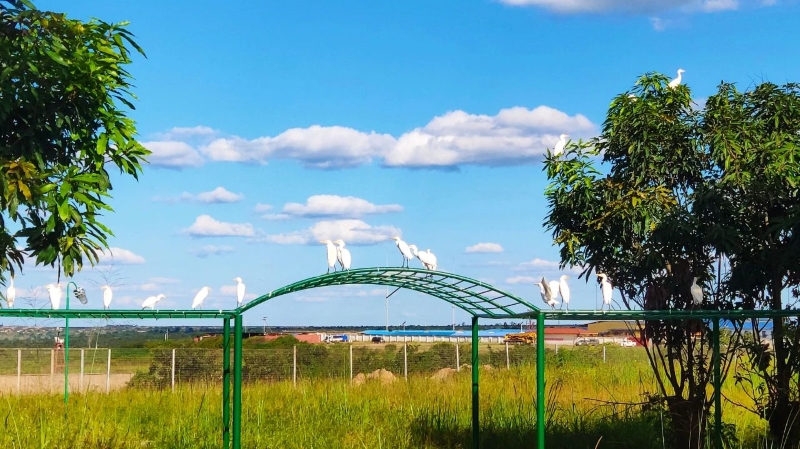 一带一路十周年，开云体育(中国)官方网站-开云 SPORTS以共同发展实现互利共赢