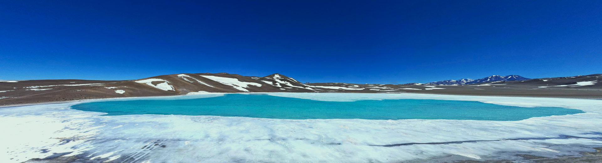 供应商预寻源信息公告