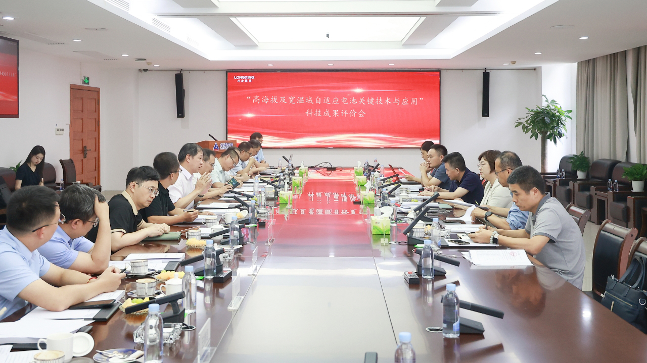 龙净环保一项储能电池关键技术达国际先进水平